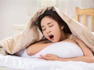 Phải ngủ bao nhiêu lâu thì mới tốt cho sức khoẻ?
