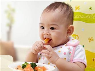 Cách nấu các món cháo thơm ngon cho trẻ từ 9 – 12 tháng tuổi giúp con tăng cân vượt chuẩn
