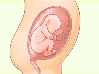 Không chỉ nghịch ngợm, khoa học tìm ra thêm 1 lý do đặc biệt khiến thai nhi liên tục đạp trong bụng mẹ