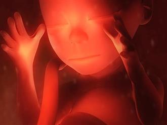 Những biến chứng kinh hoàng đối với thai nhi khi mẹ bầu hít phải khói thuốc lá