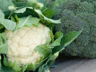 Bông cải xanh và súp lơ: Loại nào tốt cho sức khỏe hơn?