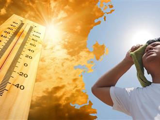 Chuyên gia cảnh báo năm 2024 có thể sẽ nắng nóng nhất lịch sử