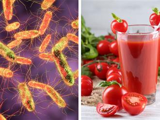 Chuyên gia Mỹ: Ăn cà chua giúp tiêu diệt vi khuẩn thương hàn