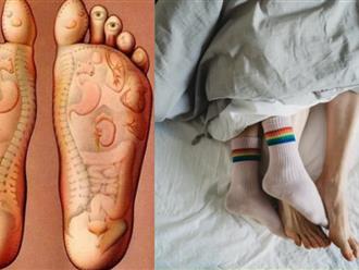 Có nên mang tất khi đi ngủ không? Bác sĩ tiết lộ sự thật về việc giữ ấm đôi bàn chân