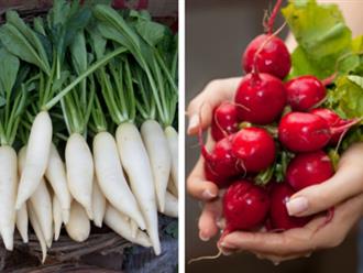 Củ cải đỏ và củ cải trắng: Loại nào tốt cho sức khỏe hơn?