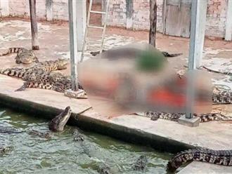 Cụ ông 72 tuổi bị bầy cá sấu 40 con do chính mình nuôi cắn chết sau khi trượt ngã trong hồ