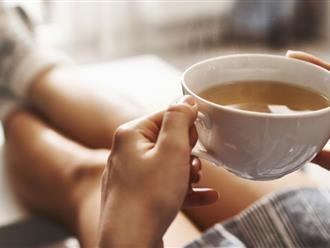 Loại trà người Việt dùng giải khát ngày hè, rất giàu chất chống oxy hóa, giúp phòng ngừa tiểu đường, ung thư