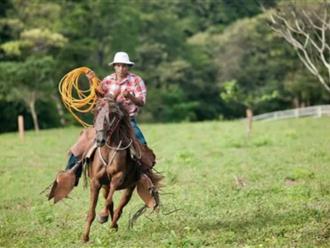 Lối sống trường thọ trên bán đảo có tỷ lệ người trăm tuổi gấp 3,5 lần trung bình, cưỡi ngựa mỗi ngày ở tuổi "xưa nay hiếm"