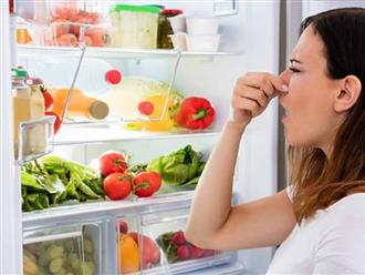 4 nguyên liệu khử mùi tự nhiên nhà nào cũng có giúp tủ lạnh lúc nào cũng sạch sẽ thơm tho