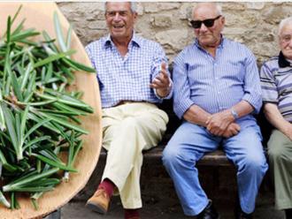 Ngôi làng ở Ý 'khỏe mạnh nhất thế giới' nhờ ăn 1 loại gia vị: Là "thuốc" hạ đường huyết tự nhiên, giúp não bộ bớt “ì ạch”