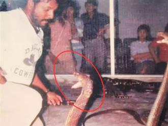 Người đàn ông sống cùng 400 con rắn trong 40 ngày tử vong vì bị rắn hổ mang cắn, con trai sau đó hôn chính con rắn đã giết chết cha 
