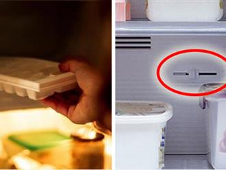 Tại sao tủ lạnh chỉ có đèn ở ngăn mát, ngăn đá thì không: Câu trả lời này khiến bạn bất ngờ