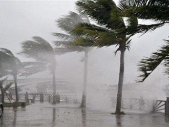 Tháng 8: Biển Đông có khả năng đón 2-3 cơn bão và áp thấp nhiệt đới 