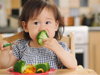 Trẻ em có nên ăn chay không?
