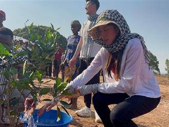 Trong chuyến thiện nguyện ở Châu Phi, hoa hậu Thùy Tiên đã trồng thêm loại cây “quý hiếm” tặng người dân Angola