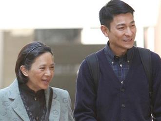 Người phụ nữ ra tay giúp Lưu Đức Hoa trả sạch món nợ 5 triệu USD, khiến tài tử phải quỳ gối mang ơn suốt đời