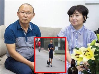 Sau chiến thắng trước đại kình địch Thái Lan, HLV Park Hang Seo so sánh "nóc nhà quyền lực" với cún cưng khiến nhiều người bật cười