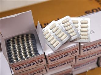 Nghệ An: Nghiêm cấm mua bán thuốc Molnupiravir điều trị COVID-19