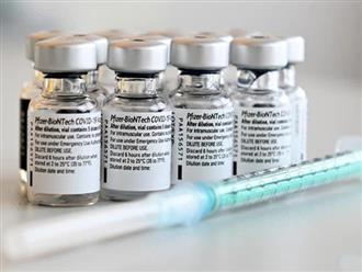 Nghiên cứu mới: Kháng thể ở nhiều người biến mất sau 6 tháng tiêm vaccine Pfizer