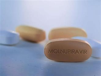 Công ty MSD và Pfizer đồng ý nhượng quyền sản xuất thuốc điều trị Covid-19 cho Việt Nam