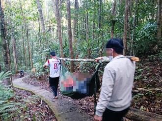 Gia Lai: Cây rừng đổ, nữ du khách tử vong khi đang đi tham quan thác K50
