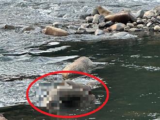Lâm Đồng: Trục vớt thi thể người đàn ông trên sông Đạ Huoai, đang trong quá trình phân hủy