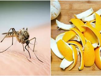 4 cách đuổi muỗi "triệt để" bằng những nguyên liệu tự nhiên, vừa bảo vệ sức khỏe vừa tiết kiệm chi phí