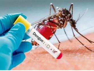 4 quan niệm sai lầm về sốt xuất huyết khiến bệnh dễ trở nặng, thậm chí qua đời