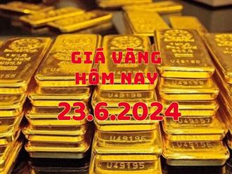 Giá vàng hôm nay 23/6/2024: Vàng nhẫn tăng vọt vượt mức 75 triệu, vàng miếng SJC "bất động"