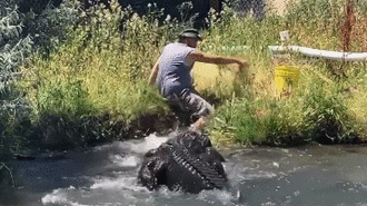 Cho cá sấu khủng ăn, người đàn ông suýt bị cá sấu khổng lồ tấn công và ngoạm mất chân khiến người xem sợ hãi
