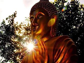 Phật dạy 9 cách để thay đổi vận mệnh, hưởng bình an và hạnh phúc mỗi ngày