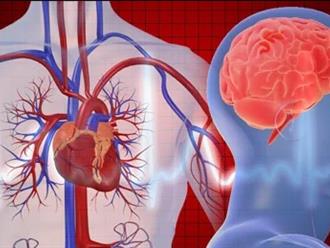 Đột quỵ não và đột quỵ tim khác nhau như thế nào? Dấu hiệu cảnh báo và cách phòng tránh