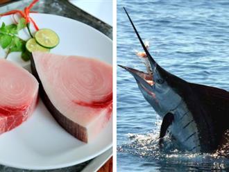 Khám phá ngay 6 lợi ích tuyệt vời của cá kiếm: Cải thiện thị lực, cực tốt cho sức khỏe tim mạch