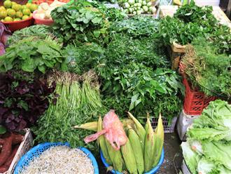 Khi đi chợ chị em nhất định đừng nên bỏ qua 6 loại rau: Không khác gì nhân sâm có lợi cho sức khỏe, vừa rẻ vừa ngon, ít ngậm hóa chất và chất tăng tưởng