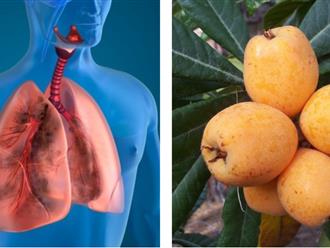 Lưu ngay 5 loại thực phẩm giúp loại bỏ độc tố tích trong phổi do hút thuốc, duy trì hệ miễn dịch cho cơ thể