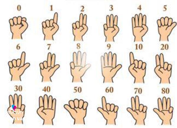 Cách dạy bé lớp 1 tính nhẩm bằng phương pháp Finger Math - Ảnh 2