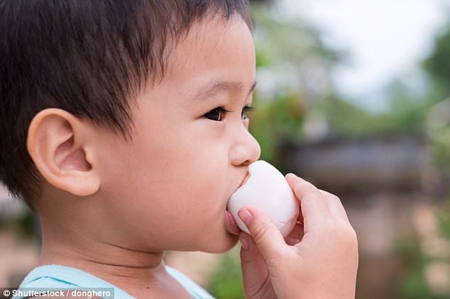 Chỉ cần ăn một quả trứng mỗi ngày trong 6 tháng có thể kích thích trí não trẻ sơ sinh phát triển - Ảnh 1
