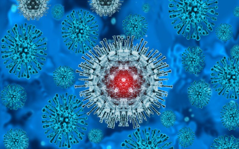 Bệnh đậu mùa khỉ: 5 điều bác sĩ muốn bạn biết để đảm bảo sự an toàn và sớm có cách đề phòng hiệu quả - Ảnh 6