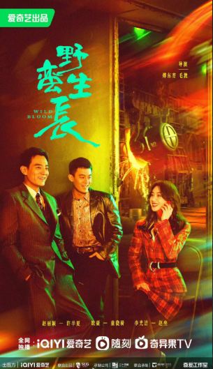 Phim mới của Triệu Lệ Dĩnh 'vượt ải' kiểm duyệt, netizen mong đợi liệu có 'làm nên chuyện' như Hạnh Phúc Đến Vạn Gia? - Ảnh 8