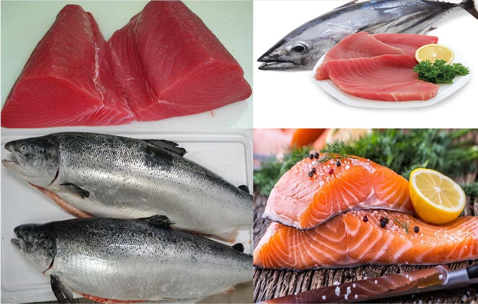 Cá được mệnh danh là thực phẩm lành mạnh, giàu dinh dưỡng, nhưng 4 nhóm đối tượng này phải thận trọng, kẻo rước bệnh vào người - Ảnh 3
