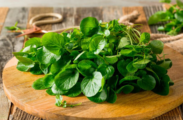 6 siêu thực phẩm giúp tăng cường hệ miễn dịch, ngăn ngừa ung thư: Đều có sẵn ở chợ Việt, mùa nào cũng có - Ảnh 6