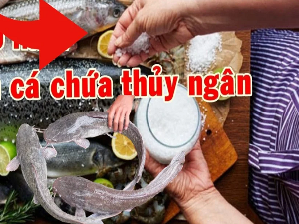 Điểm danh 6 loại cá ‘ngậm’ đầy thủy ngân, người dân đi chợ đừng ham rẻ mà mang bệnh vào người - Ảnh 1
