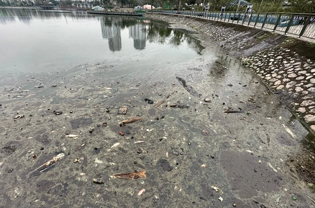 Chủ hồ câu cá 'khóc nghẹn' nhìn 13.000 con cá bự bị chết ngạt, chất đống trên bờ - Ảnh 3