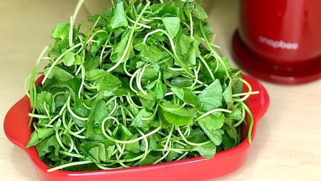 1 loại rau xanh người Ấn Độ coi là “thuốc bổ”, ở Việt Nam mọc đầy vườn: Là “insulin tự nhiên” giúp hạ đường huyết, lưu thông máu - Ảnh 2