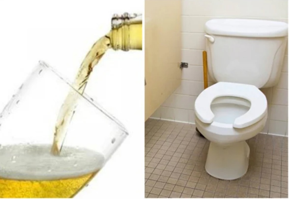 Đừng nhăn nhó mỗi khi vào WC, áp dụng ngay cách làm sạch và khử mùi nhà vệ sinh bằng những mẹo dưới đây - Ảnh 1