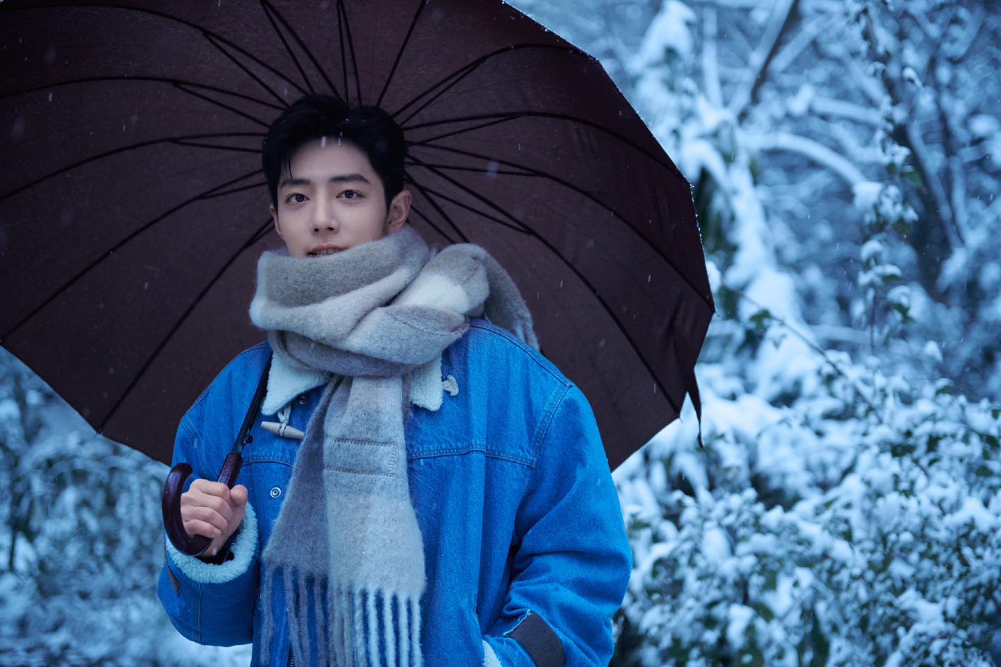 Tiêu Chiến hóa 'bạn trai mùa đông' trong loạt ảnh dưới tuyết 'hút hồn' người hâm mộ - Ảnh 1
