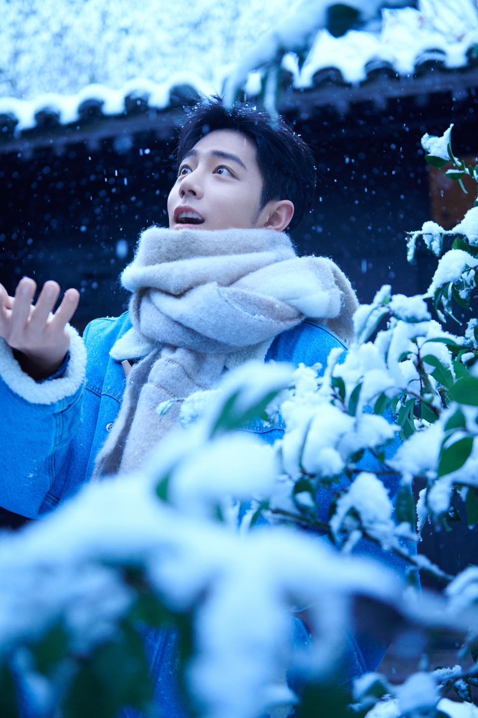 Tiêu Chiến hóa 'bạn trai mùa đông' trong loạt ảnh dưới tuyết 'hút hồn' người hâm mộ - Ảnh 6
