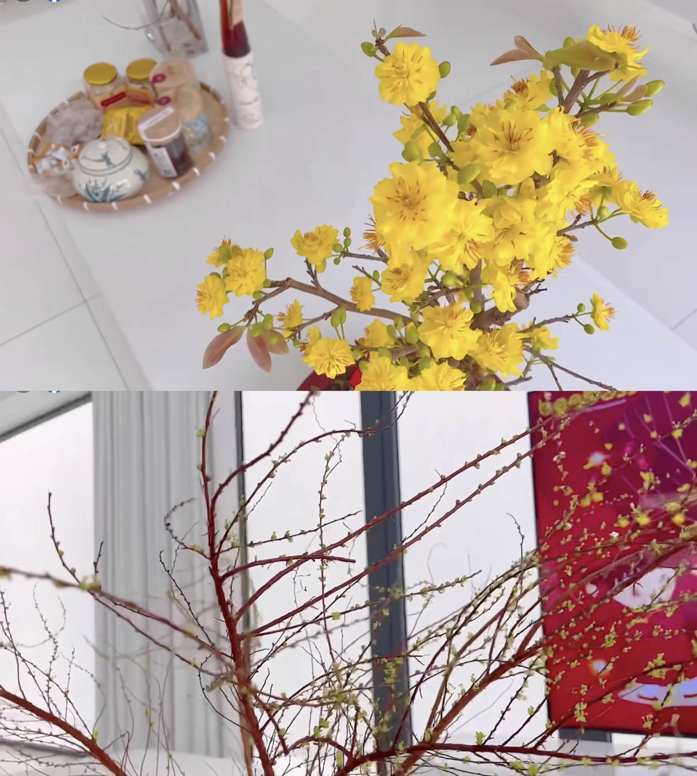 Ngắm biệt thự rực rỡ sắc hoa của Thủy Tiên - Công Vinh nhân dịp Tết Nguyên đán - Ảnh 4