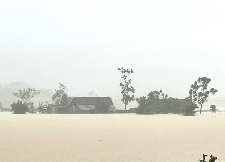 Nghệ An đã ghi nhận 8 người chết và mất tích liên quan mưa bão - Ảnh 4