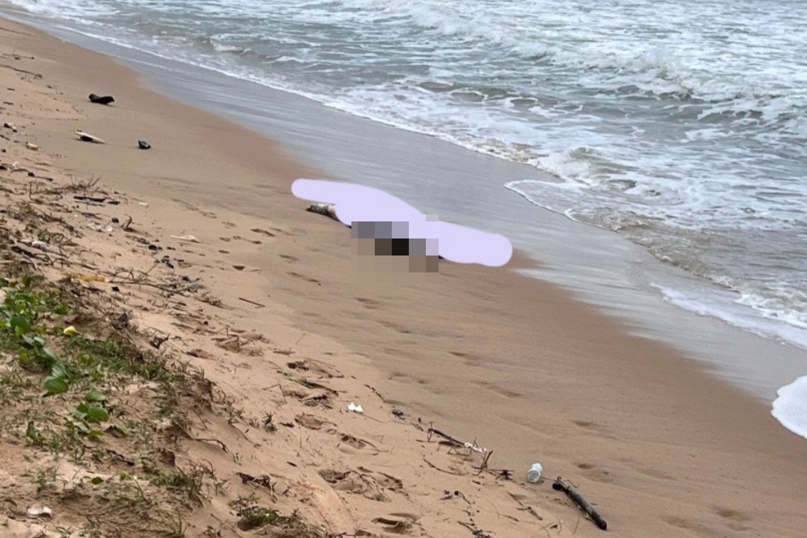 Phát hiện 5 thi thể chưa rõ lai lịch trôi dạt vào bờ biển Phú Quốc - Ảnh 1